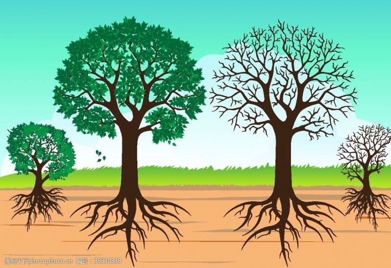 卡通景观树木大树根图片