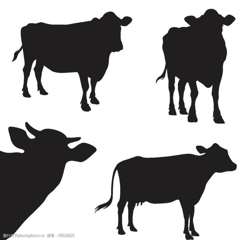 牛剪影动物剪影图片