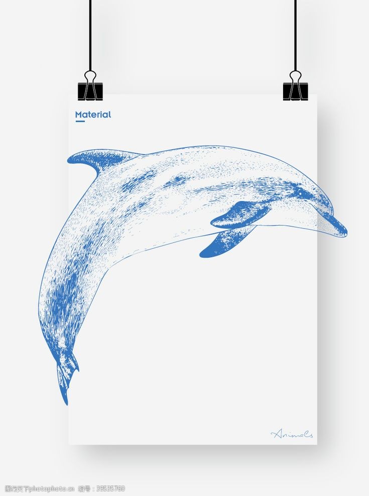 海豚标志海豚图片