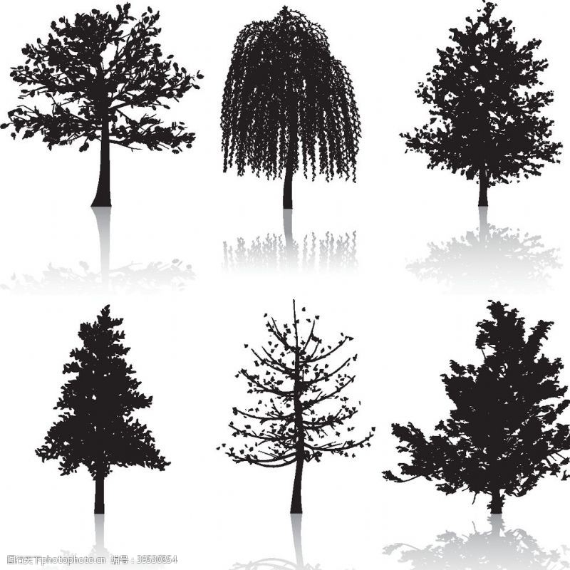 树木卡通树图片