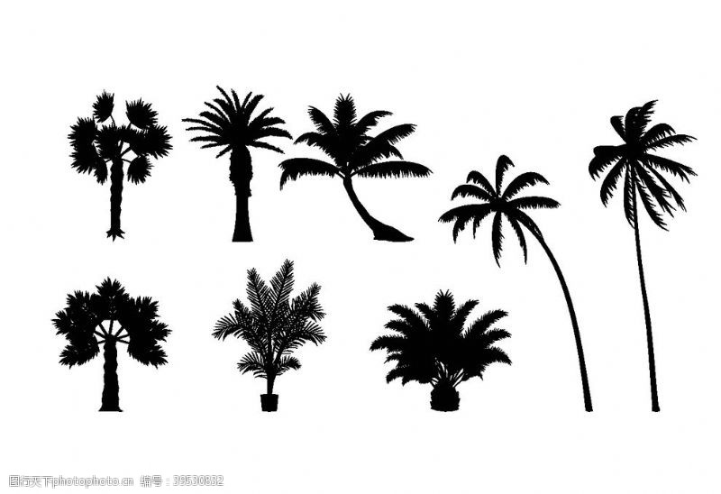矢量大树手绘热带树图片