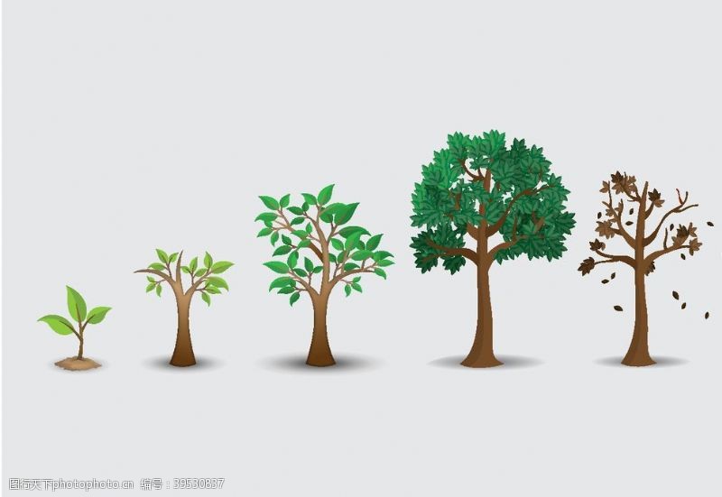 卡通景观树木树木成长图片