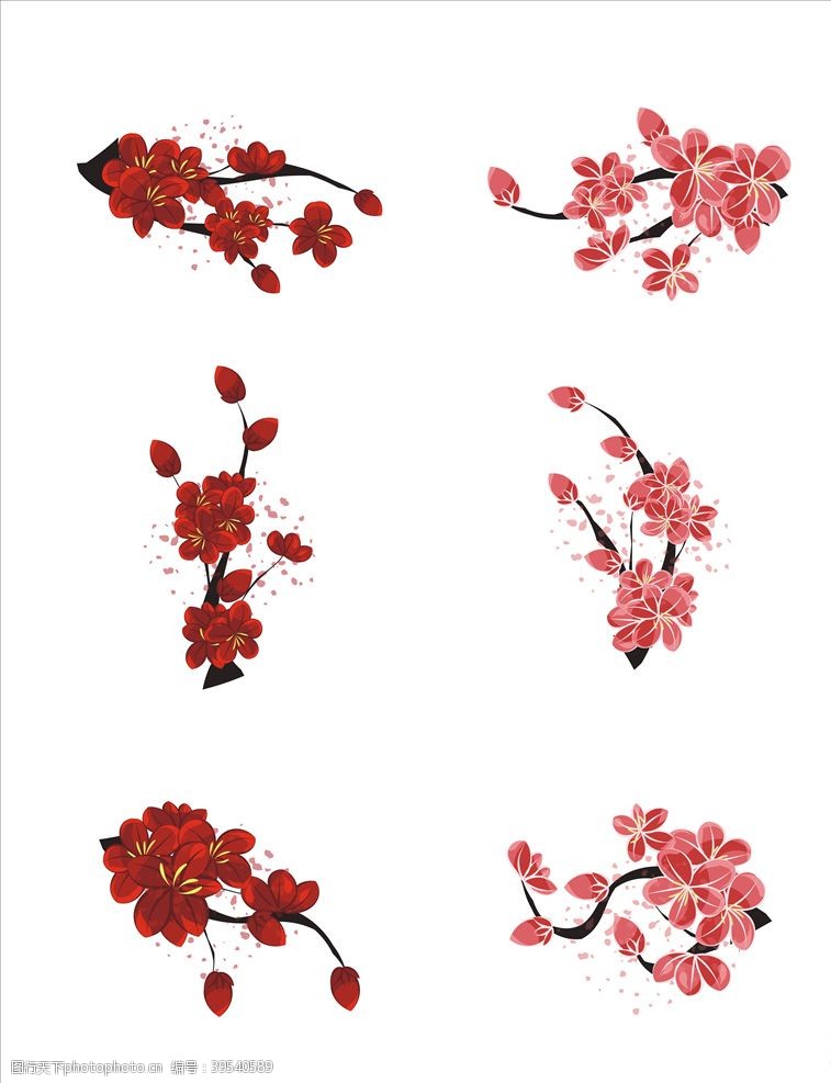 花卉素材中国风梅花图片