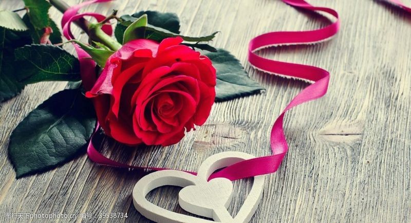 玫瑰花素材爱情图片