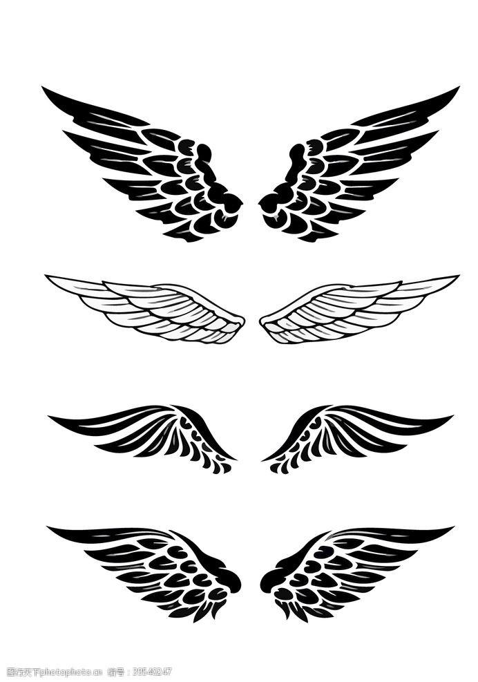 黑色翅膀4图片