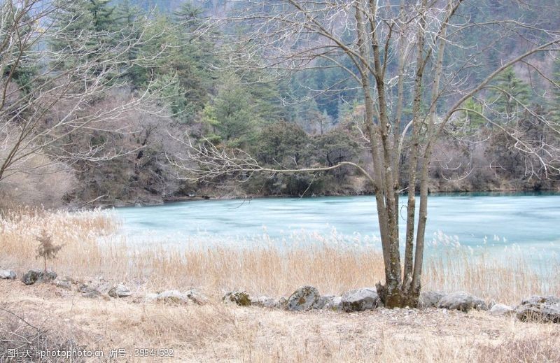 成龙九寨沟风景图片