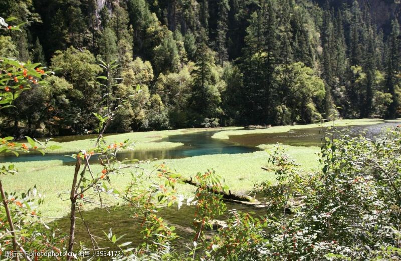 峨眉山九寨沟风景图片