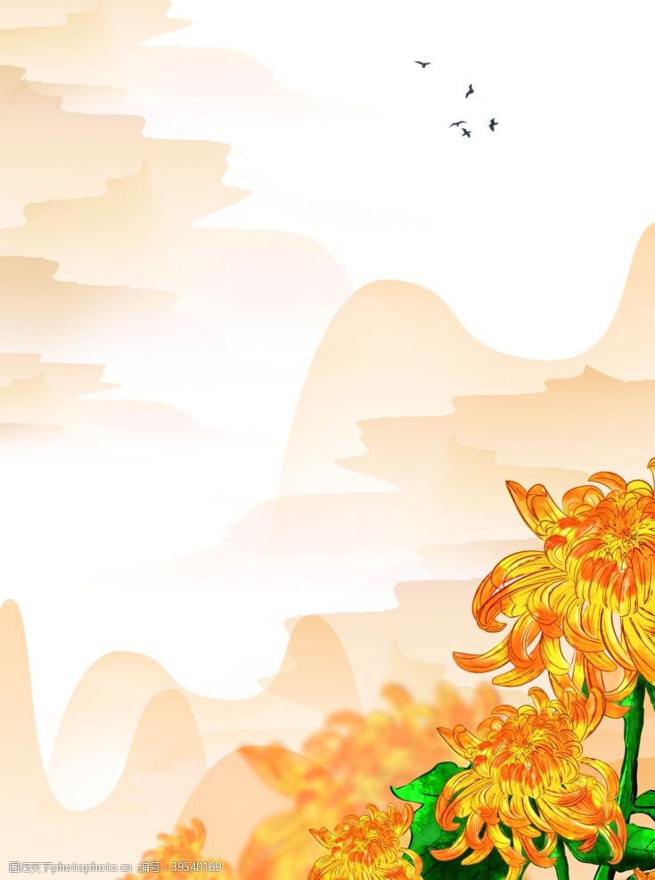 秋海棠菊花海报图片