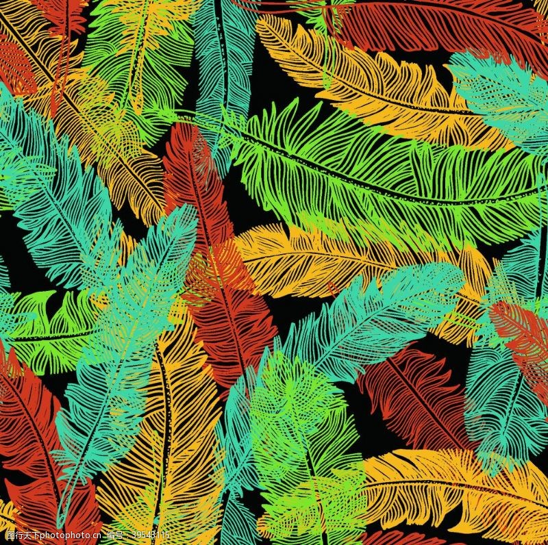 火烈鸟热带植物图片