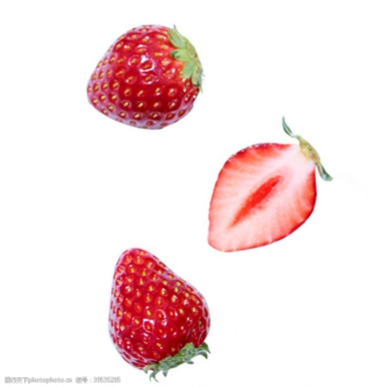 水果树矢量素材三棵草莓图片