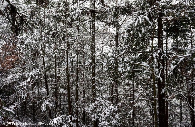 小人世界海报森林雪景图片