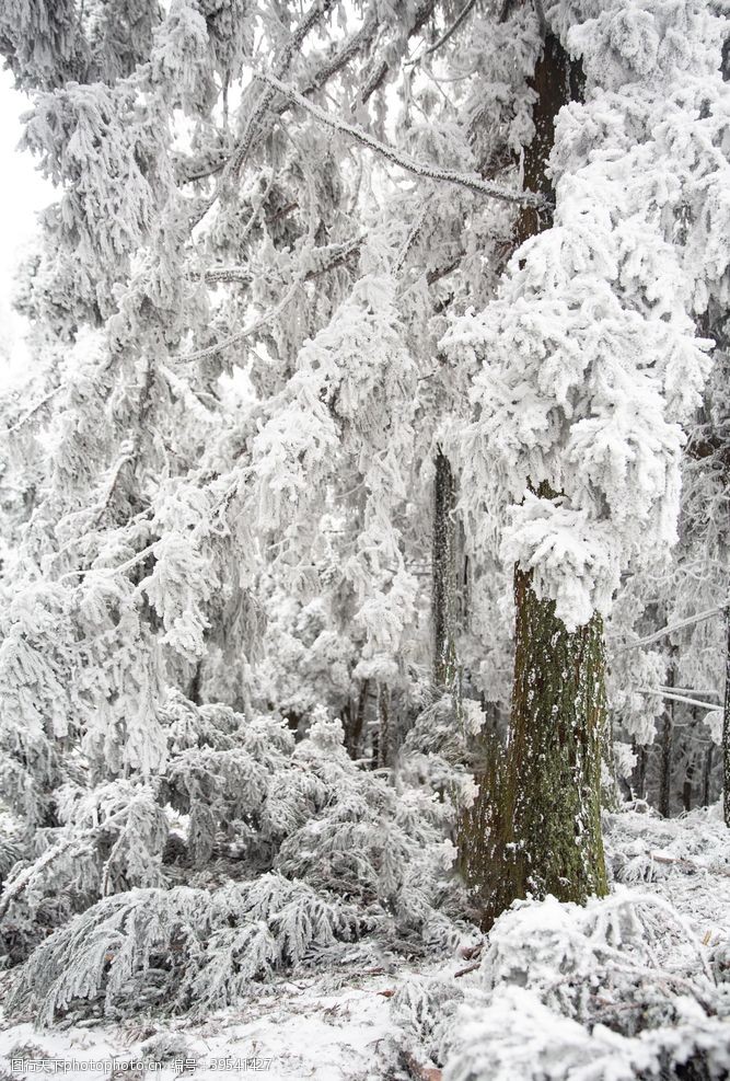 小人世界海报树林雪景图片