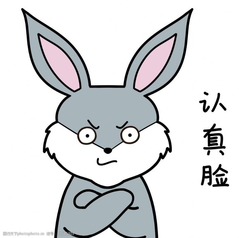 卡通宠物兔小爱图片