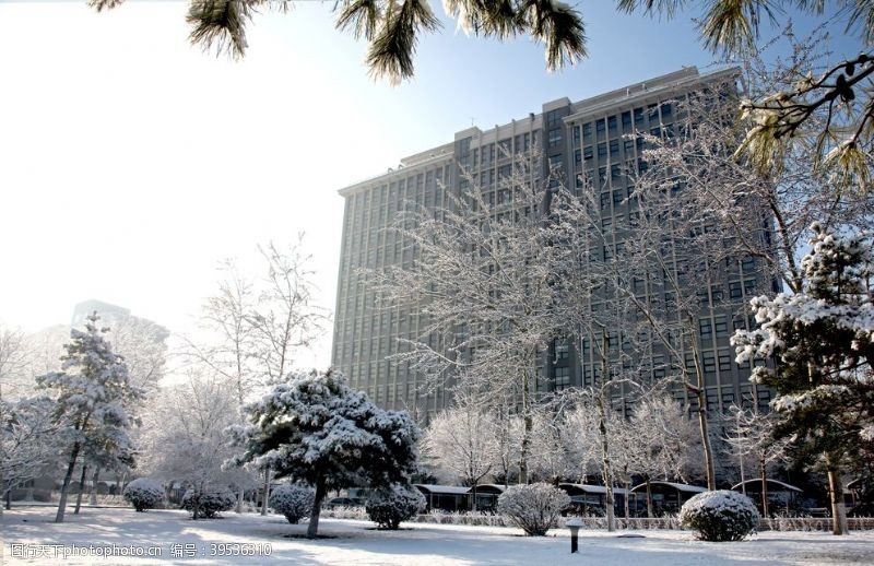 建筑行业校园雪景图片