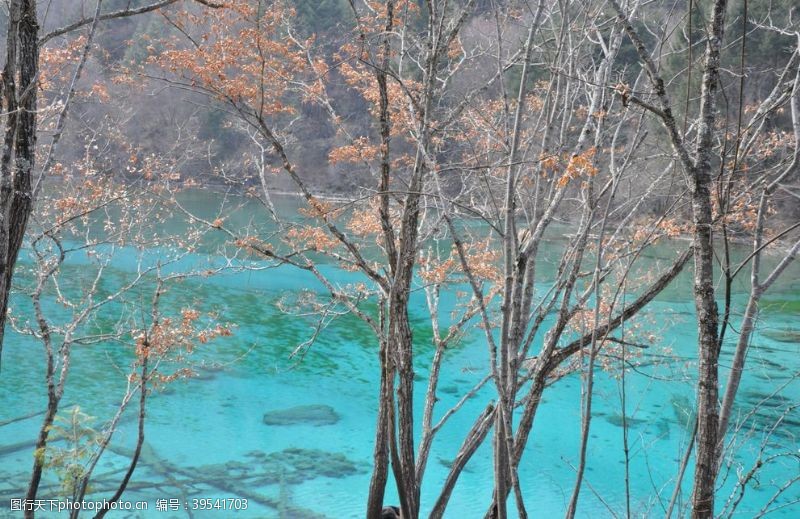 峨眉山雪景海报九寨九寨沟海报图片