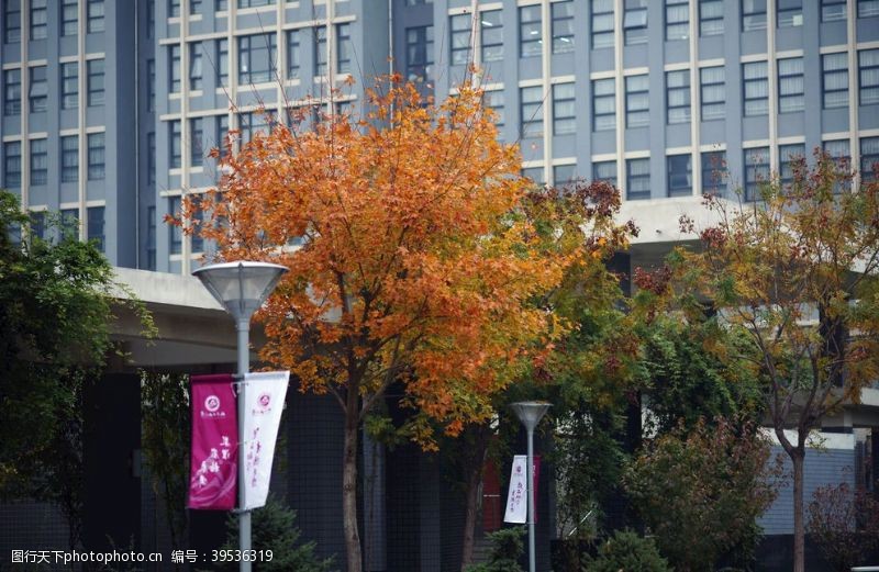 北京建工学校风景图片