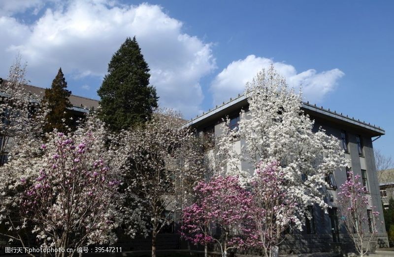 木兰学校景观图片