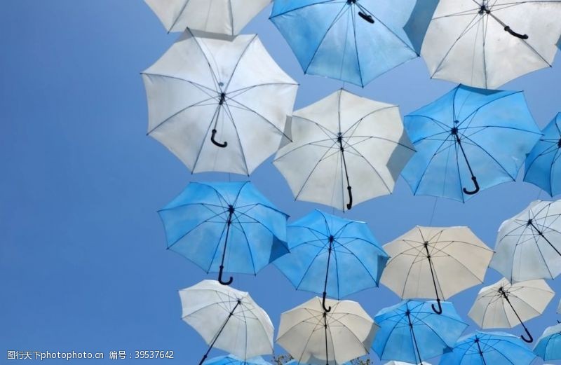 遮阳伞雨伞图片