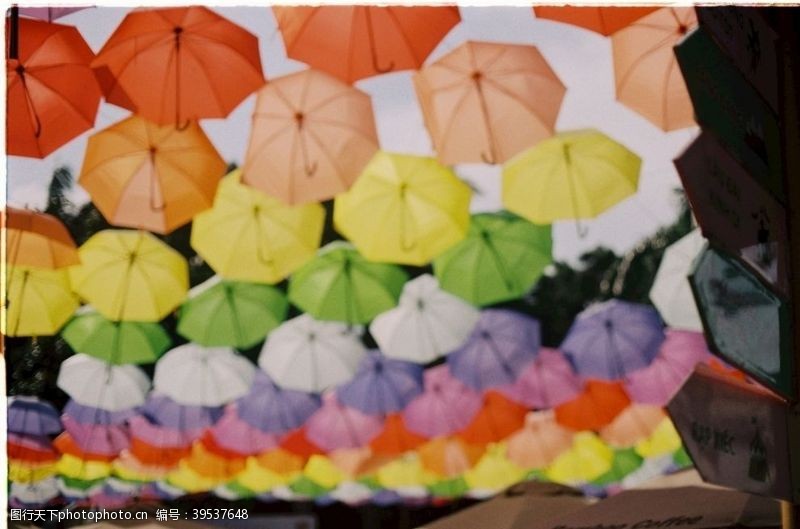遮阳伞雨伞图片
