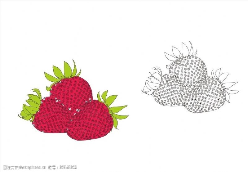 水果植物矢量草莓图片