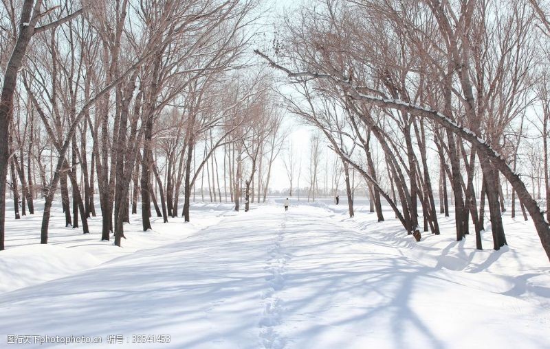 卡通景观树木冬日雪景图片