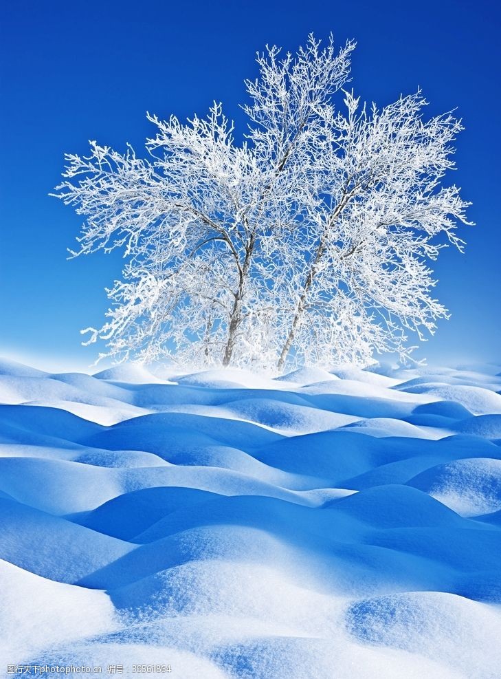 美丽冬天背景图片