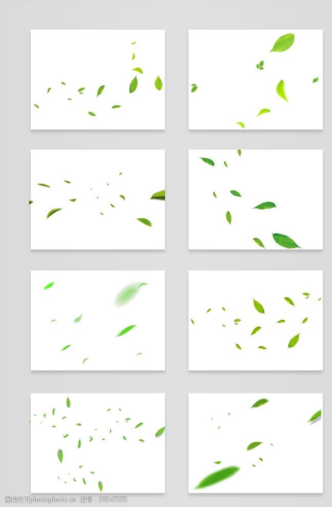 绿叶叶子树叶素材图片