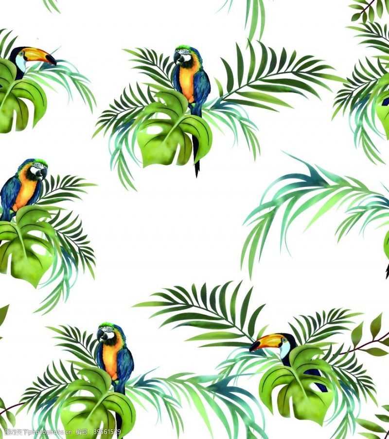 椰子树卡通热带鸟和植物图片