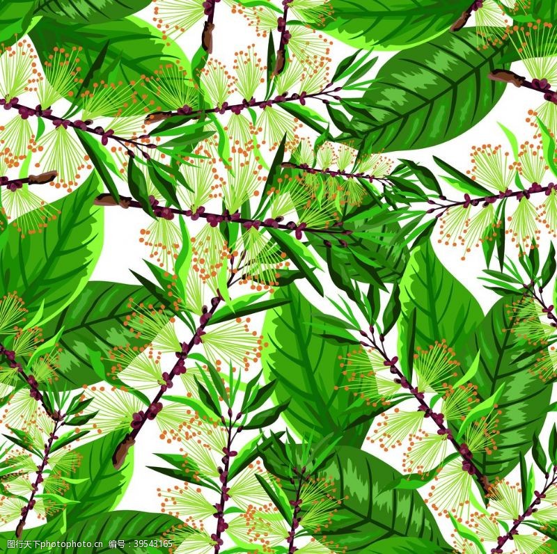 手绘树林热带植物图片
