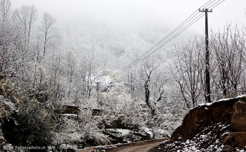 卡通景观树木山里雪景图片