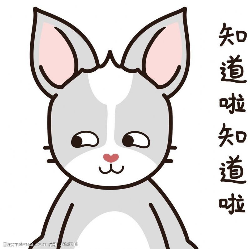 卡通宠物兔小哈图片