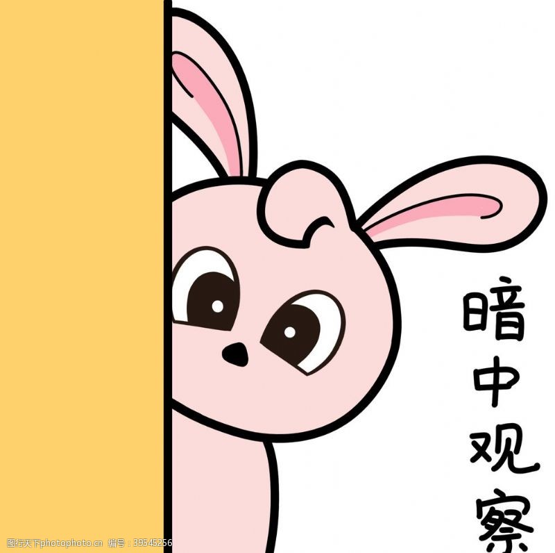 卡通宠物兔小小图片