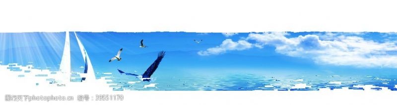 海鸥光线帆船图片