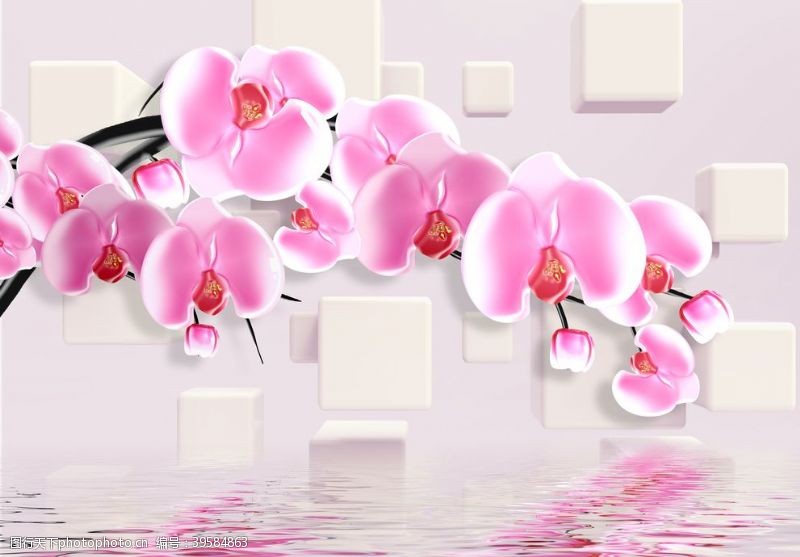 墙纸空间花卉背景图片