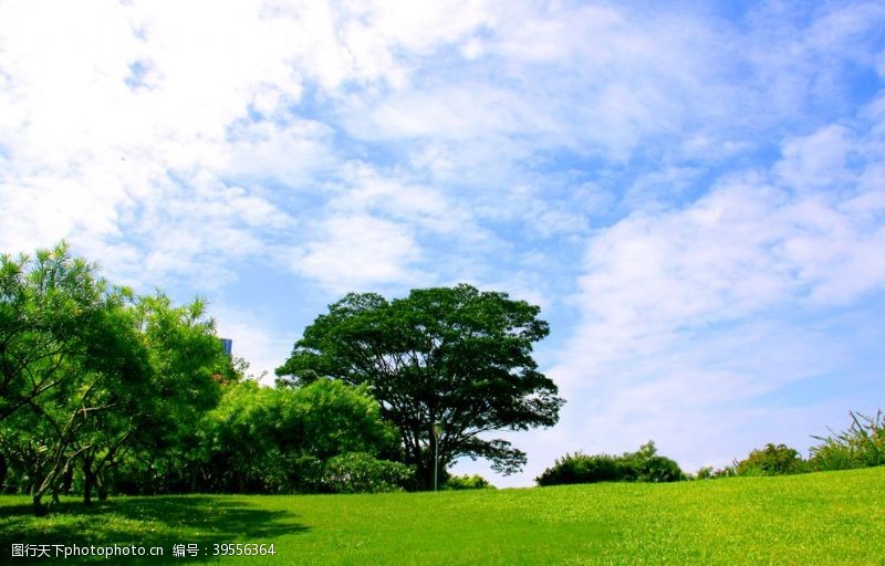 高速公路蓝天草地白云图片