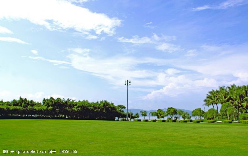 高速公路蓝天草地图片