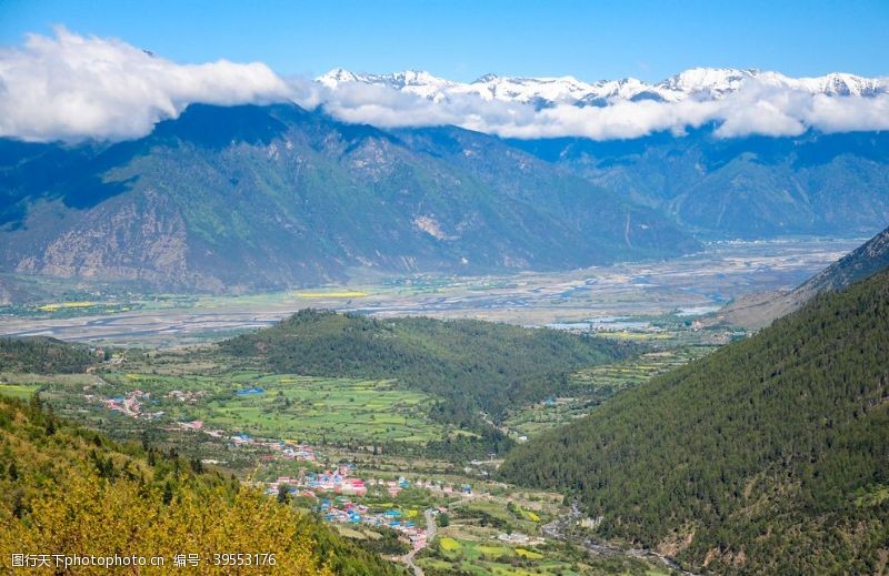 桃花旅游林芝图片