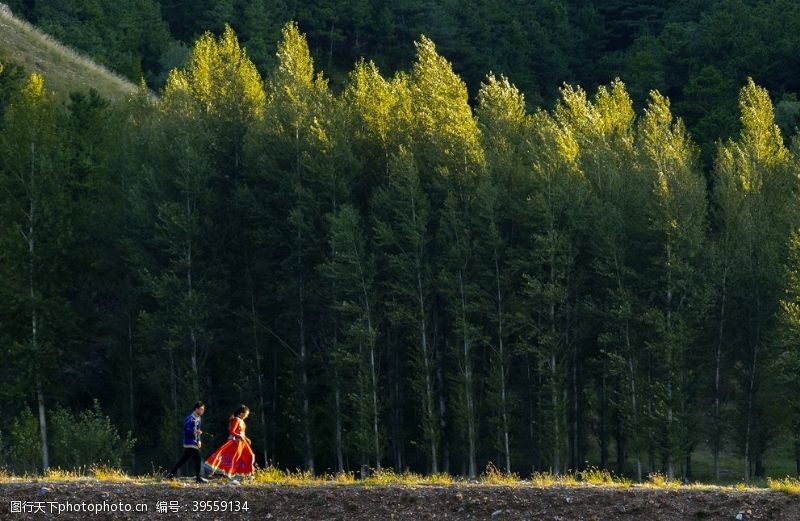 蒙古族漫步林间图片
