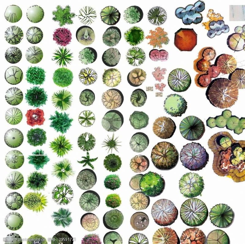 平面植物素材图片免费下载 平面植物素材素材 平面植物素材模板 图行天下素材网
