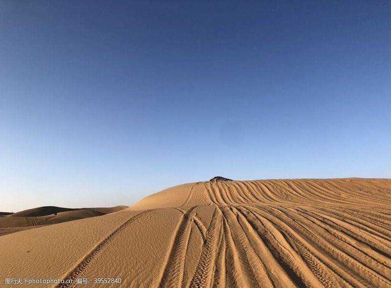 宁夏沙漠图片