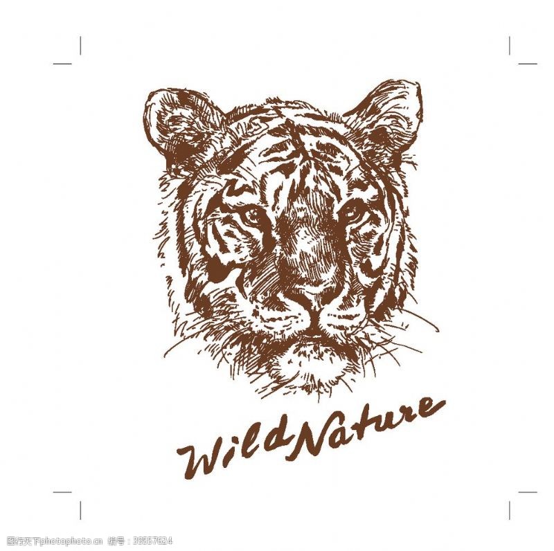 模特人物手绘野生动物老虎数码印花图片