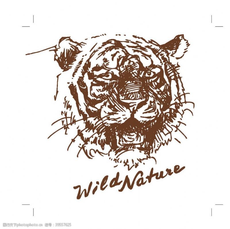 樱花节艺术字手绘野生动物老虎数码印花图片