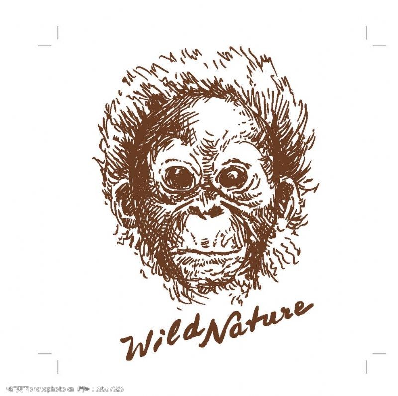 手绘樱花手绘野生动物老虎数码印花猩猩狒图片