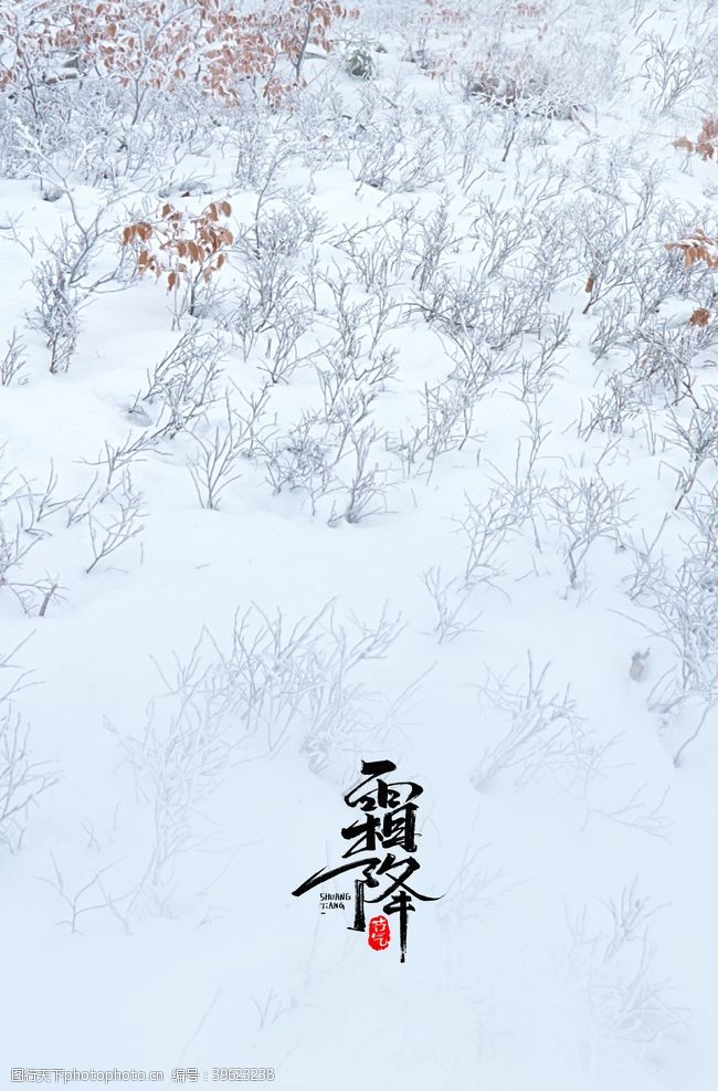 梅花手绘霜降图片