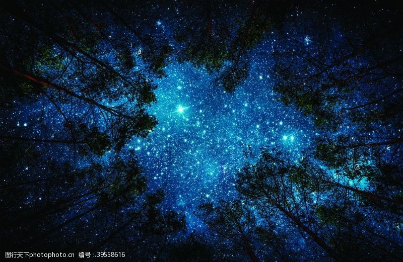 墙壁树林上面的星空繁星点点背景画图片