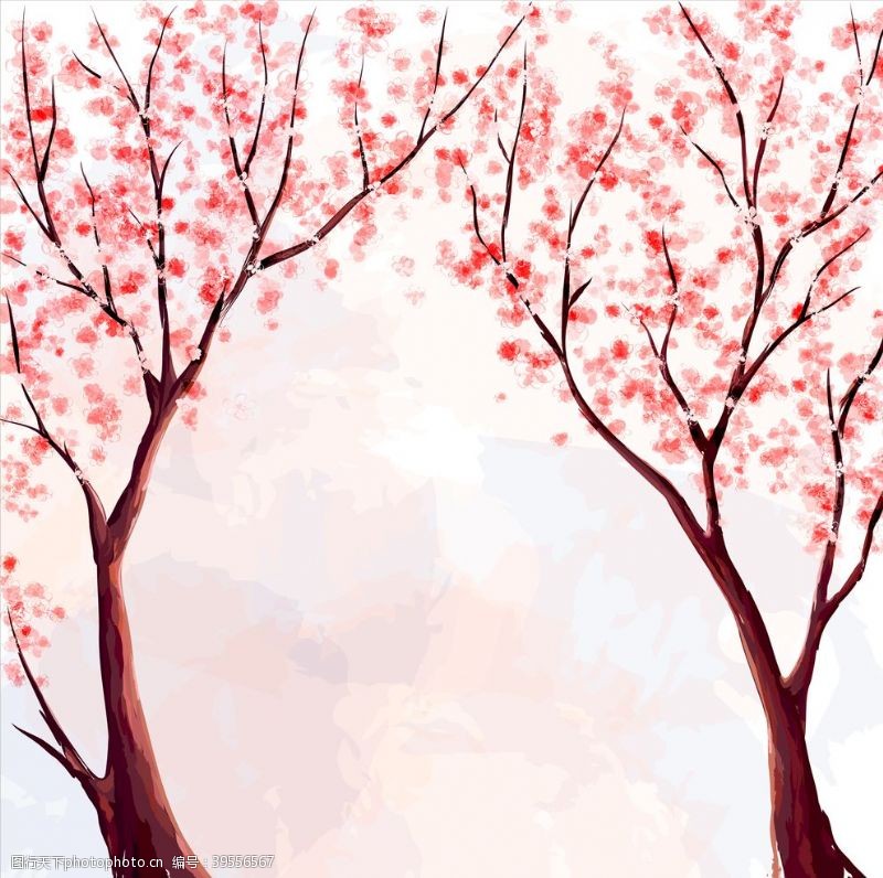 樱花文化节樱花素材图片