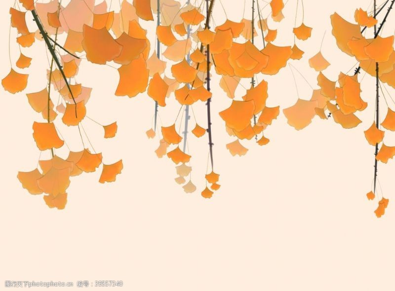 秋天叶子矢量银杏叶图片