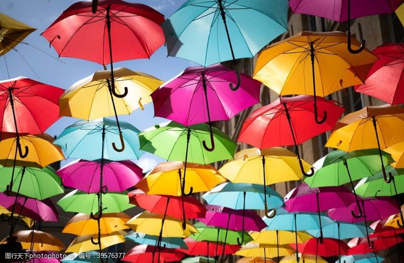 大伞雨伞图片