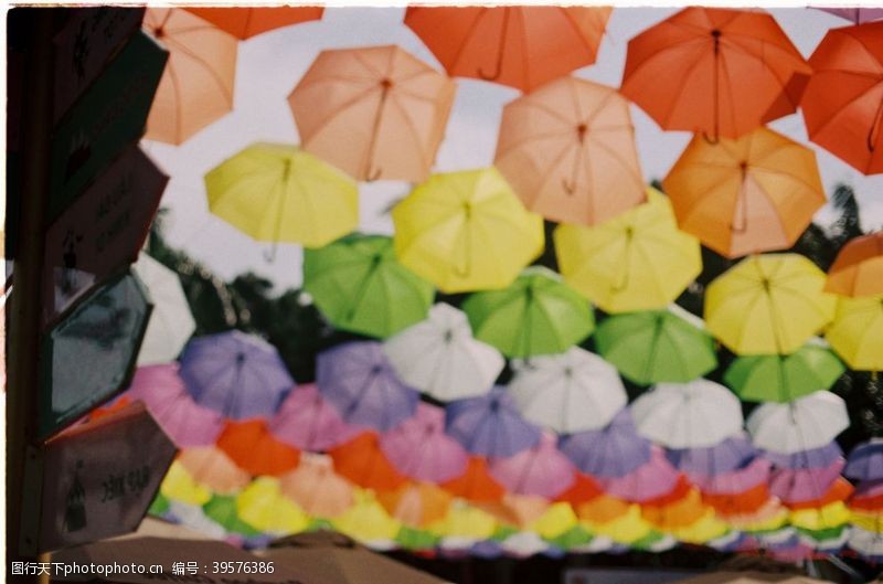 大伞雨伞图片