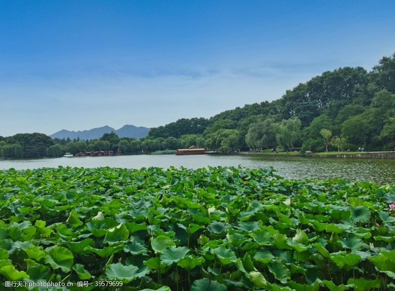 断桥杭州西湖图片